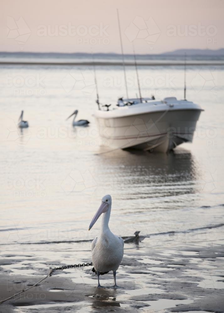 Seventeen Seventy, Queensland 03 - Australian Stock Image