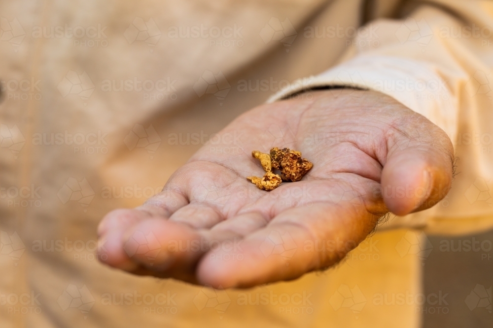 several small gold nuggets held in prospector's hand - Australian Stock Image