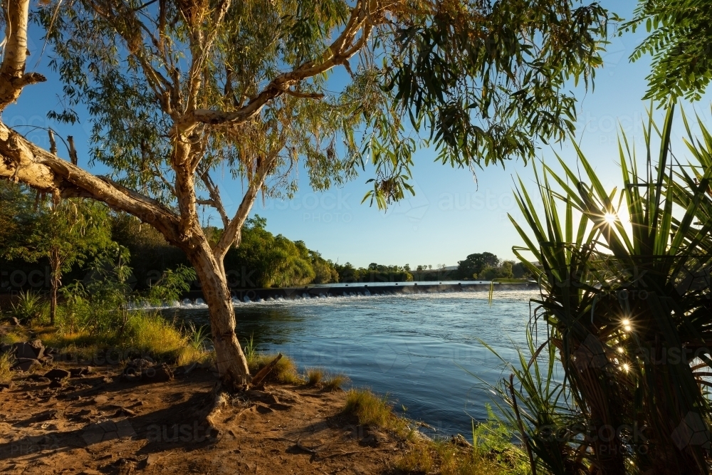 shaded river bank at Ivanhoe Crossing near Kununurra - Australian Stock Image