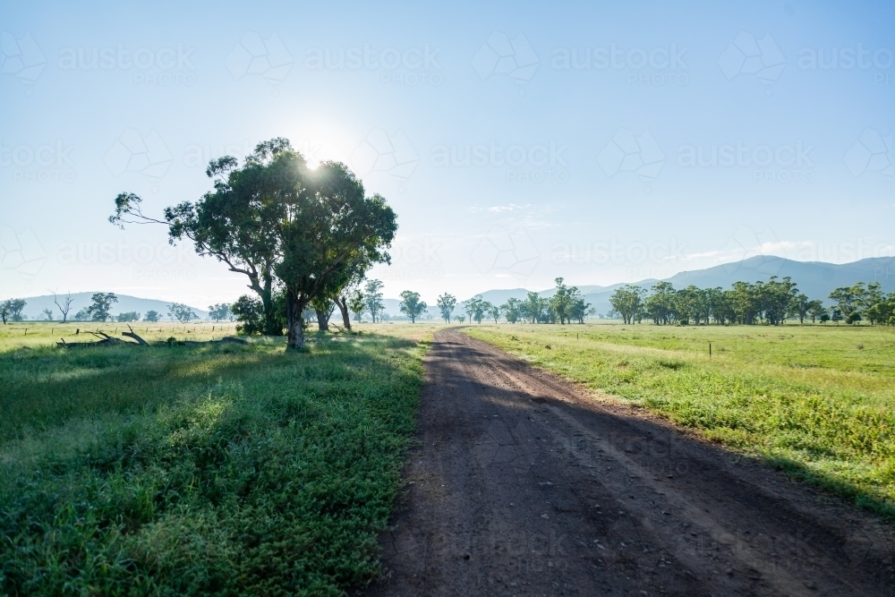 Shadows and light of gum trees beside gravel country road - Australian Stock Image