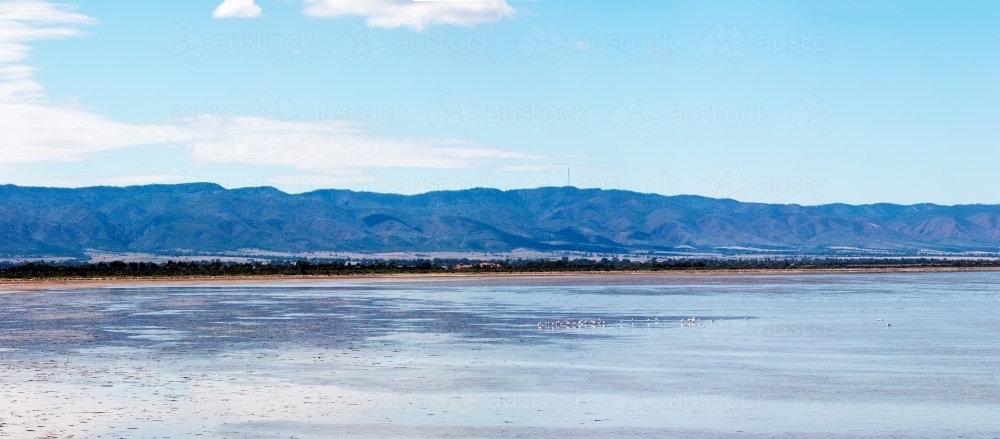 shallow bay with Flinders Ranges in background - Australian Stock Image