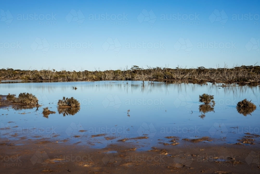 shallow water reflecting blue cloudless sky - Australian Stock Image