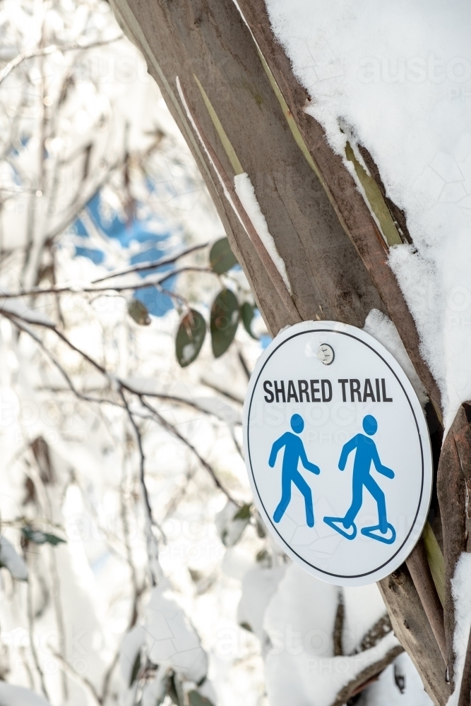 Shared trail sign on a tree at the snow. - Australian Stock Image