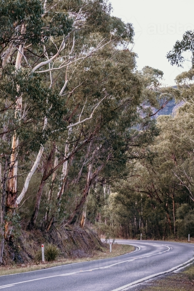 Sharp corner on a country road. - Australian Stock Image