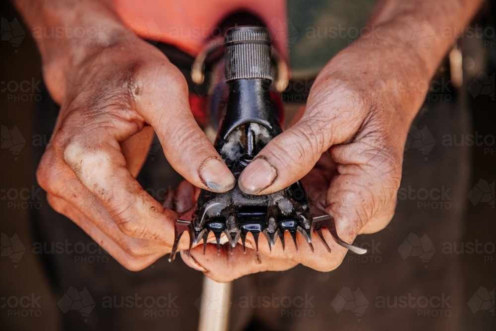 Shearers hands - Australian Stock Image