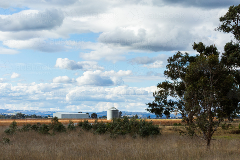 Shed and silo in paddock on farm in rural scenery - Australian Stock Image