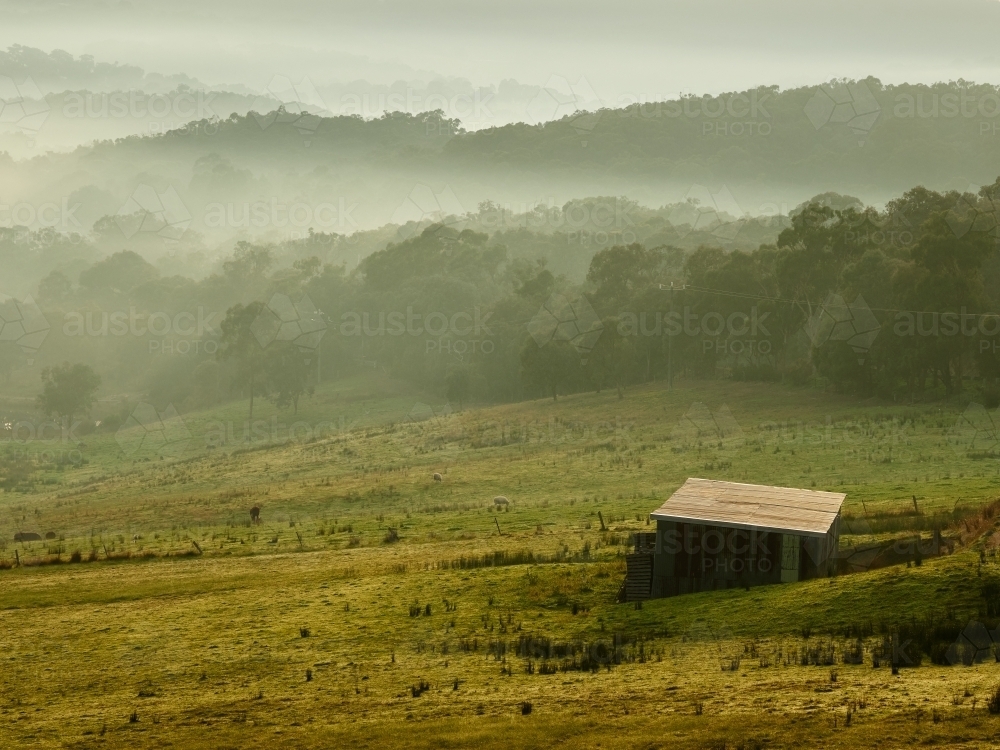 Shed on Farmland on Foggy Morning in Kangaroo Ground - Australian Stock Image