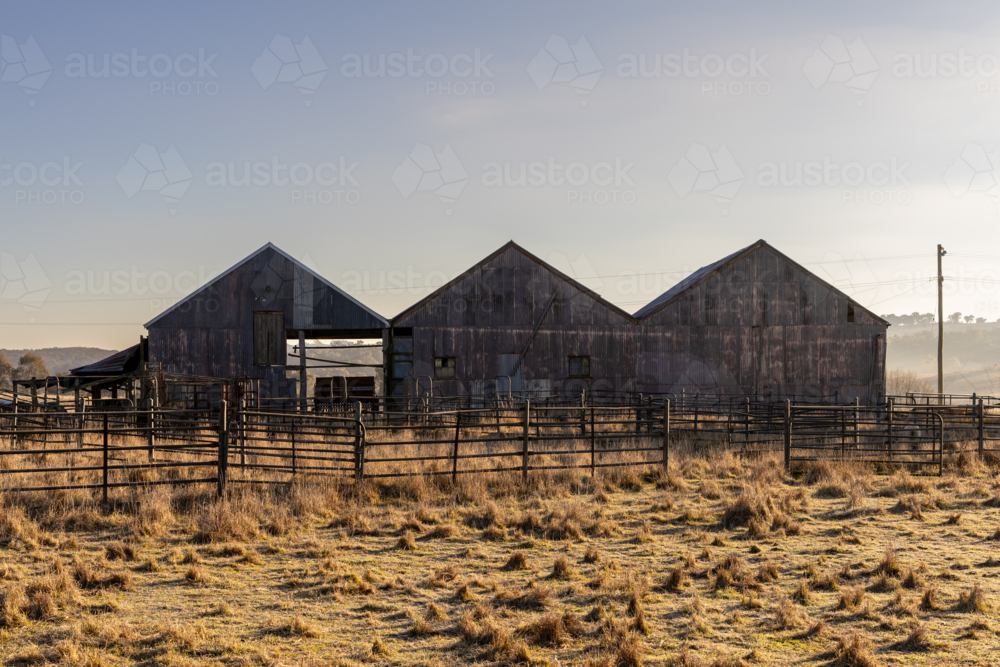 Sheds on farm paddock in early morning light - Australian Stock Image