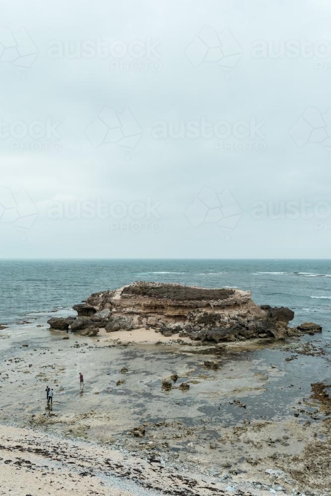 Shell Beach Island - Australian Stock Image