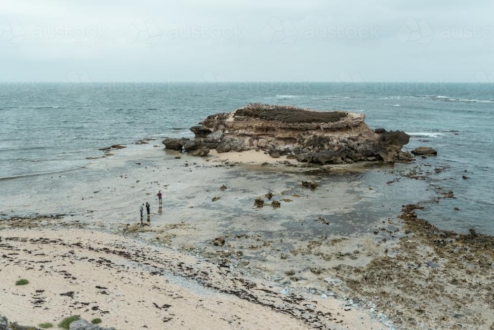 Shell Beach Island - Australian Stock Image