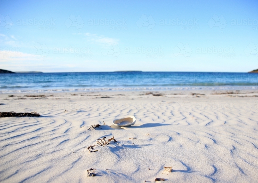 Shell Beside the Ocean on Sand - Australian Stock Image