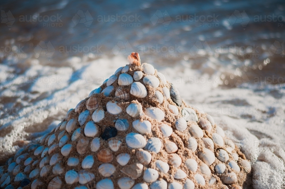 Shell Sculputre Image of Shell Sculpture, Brighton Beach, Melbourne - Austockphoto