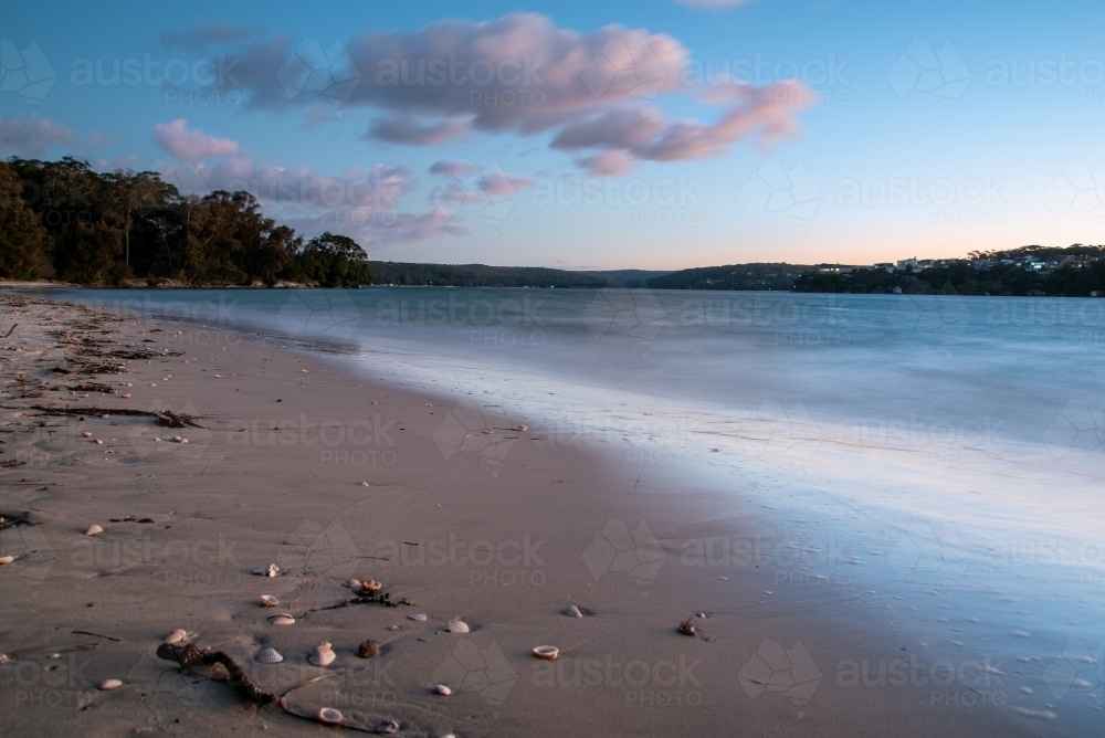 Shells on Darook Park Beach after sunset with pink clouds in a blue sky - Australian Stock Image