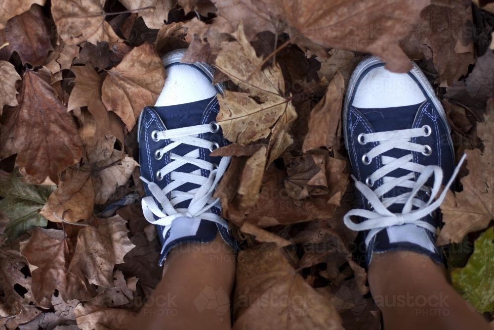 Shoes in the autumn leaves - Australian Stock Image