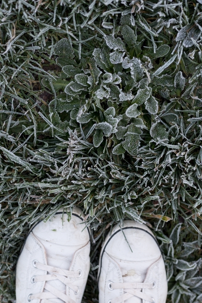 shoes on frosty grass - Australian Stock Image