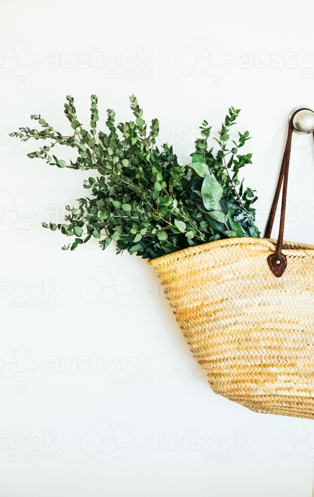 Shopping basket with Australian native gum leaves - Australian Stock Image