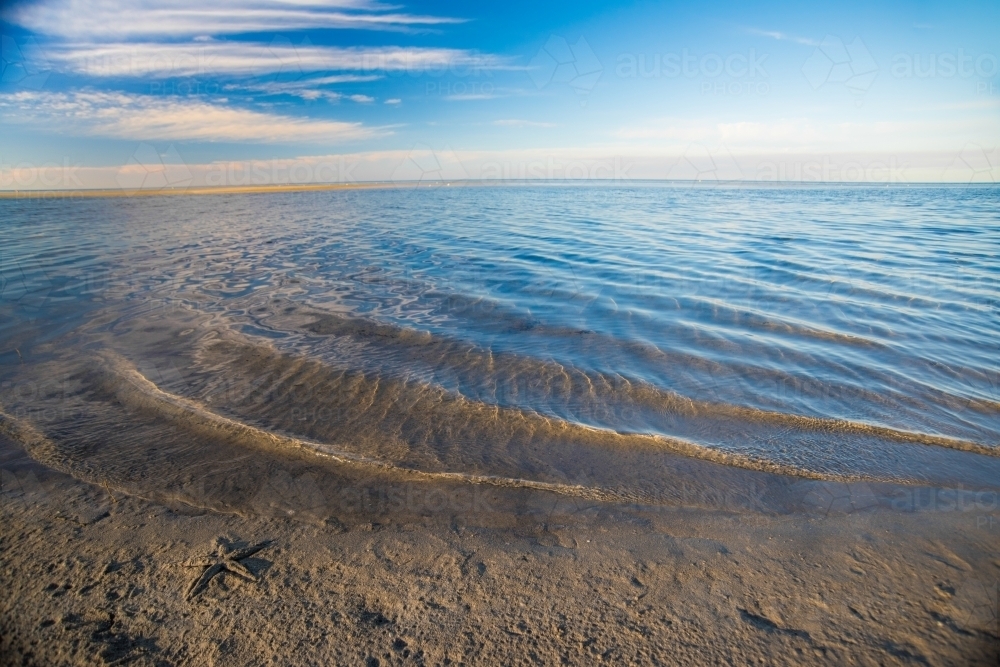 Shore at the edge of a muddy patch at low tide - Australian Stock Image