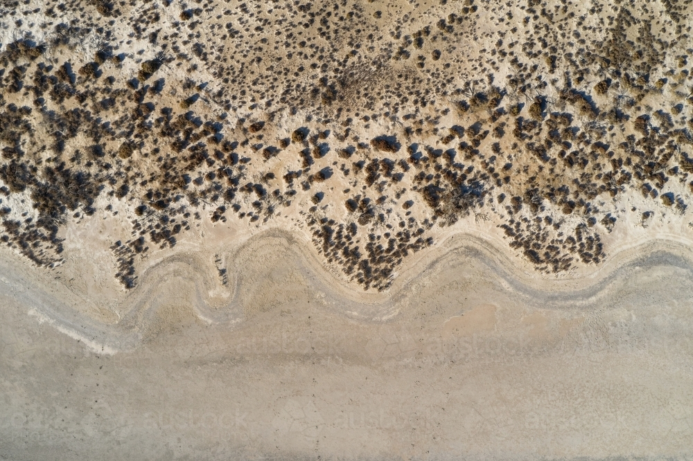 Shoreline of a dry salt lake with small plants scattered on the shore. - Australian Stock Image