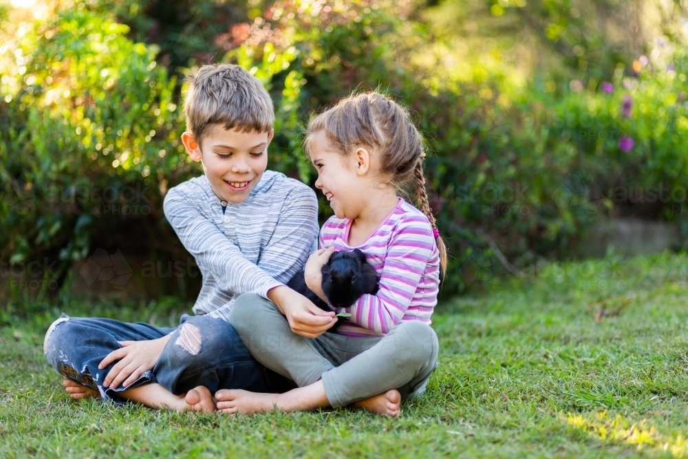 Siblings a boy and girl playing in garden outside with pet bunny rabbit - Australian Stock Image