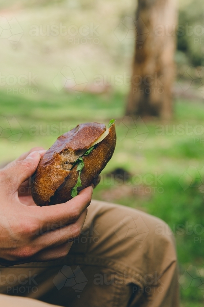 Side view of a man holding bread roll sandwich, sitting in a green park - Australian Stock Image