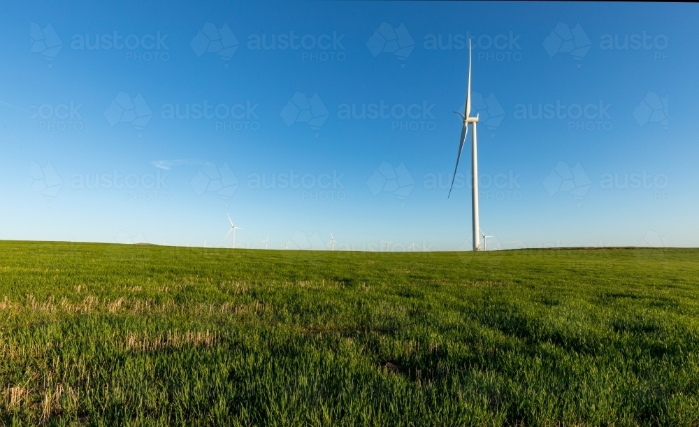 side view of wind turbine in farmland against blue sky - Australian Stock Image