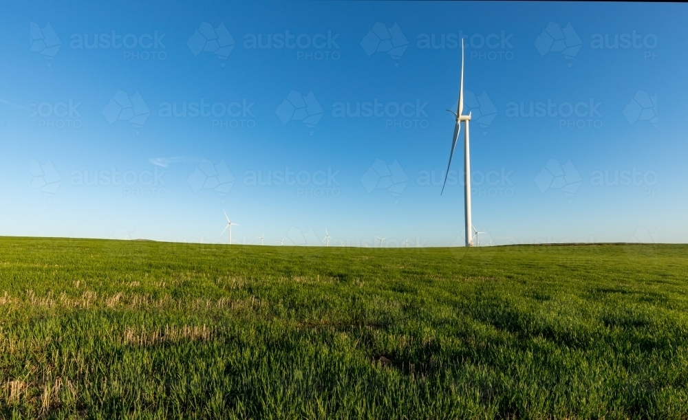 side view of wind turbine in farmland against blue sky - Australian Stock Image