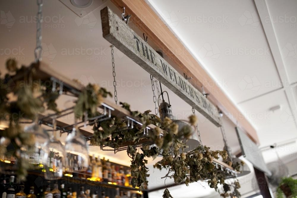 Sign and plant decoration hanging above bar at craft beer pub - Australian Stock Image