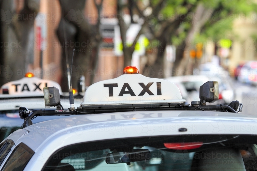 Sign detail of taxi cabs lined up. - Australian Stock Image