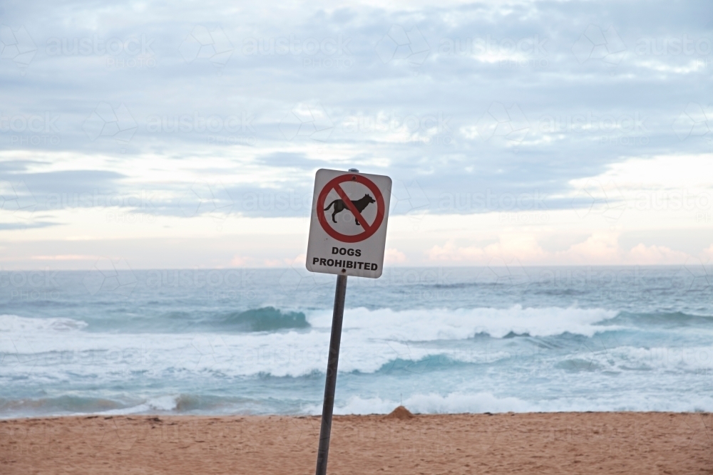 Sign on Whale Beach - dogs prohibited - Australian Stock Image