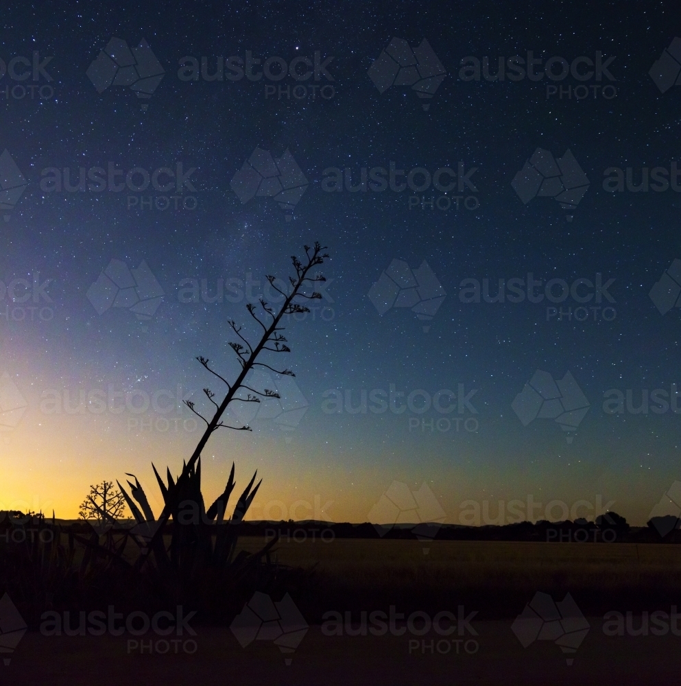 Silhouette against night sky with orange glow - Australian Stock Image