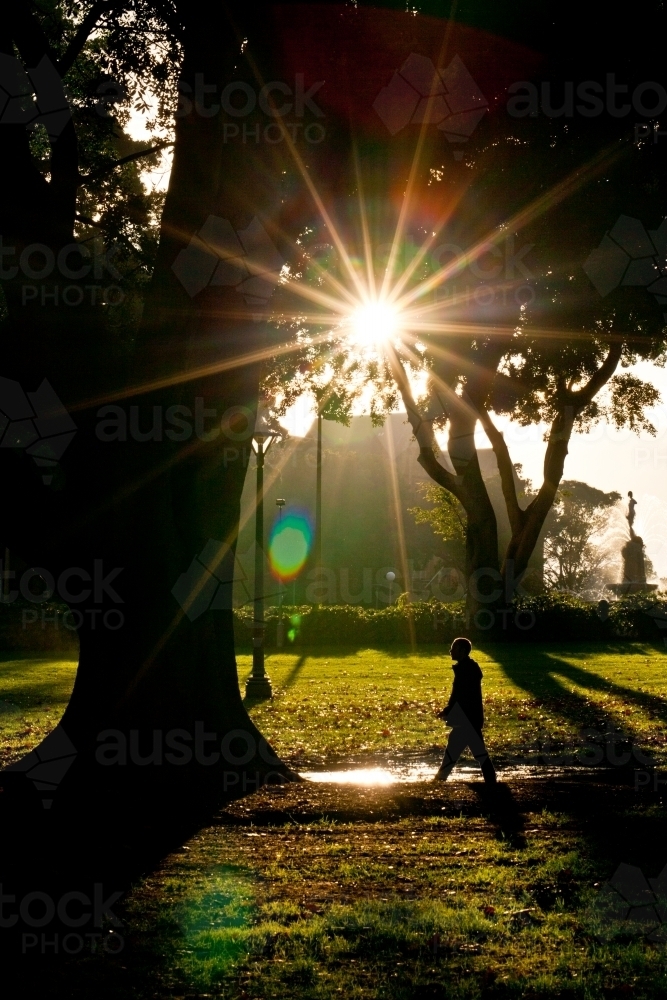 Silhouette of a man walking through hyde park in the early morning - Australian Stock Image