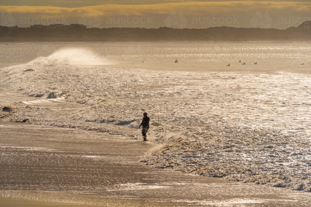 Silhouette of a swimmer walking out of rough surf up a beach at dawn - Australian Stock Image