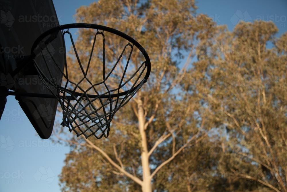 Image of Silhouette of basketball hoop and net against gum trees