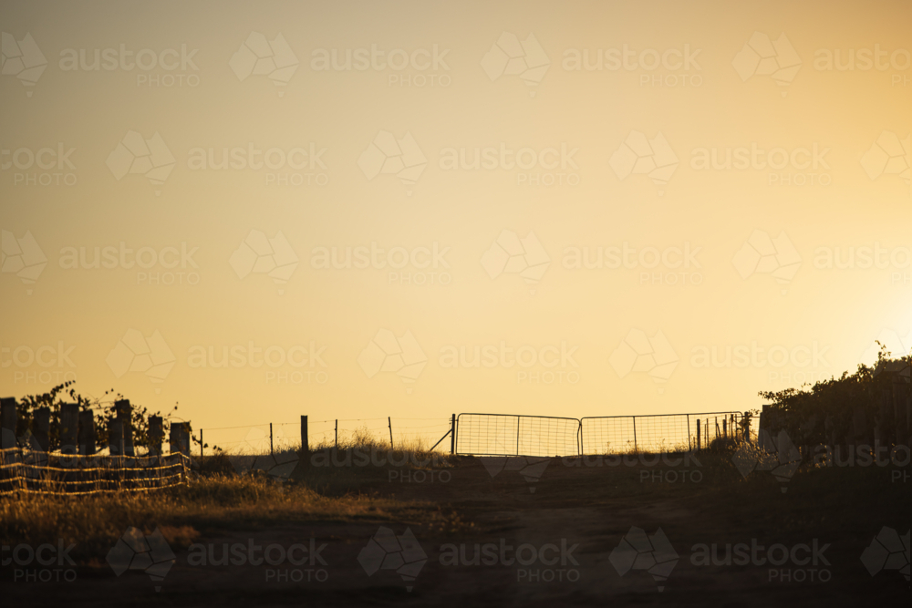 Silhouette of closed farm gate in vineyard with vibrant sunset sky - Australian Stock Image
