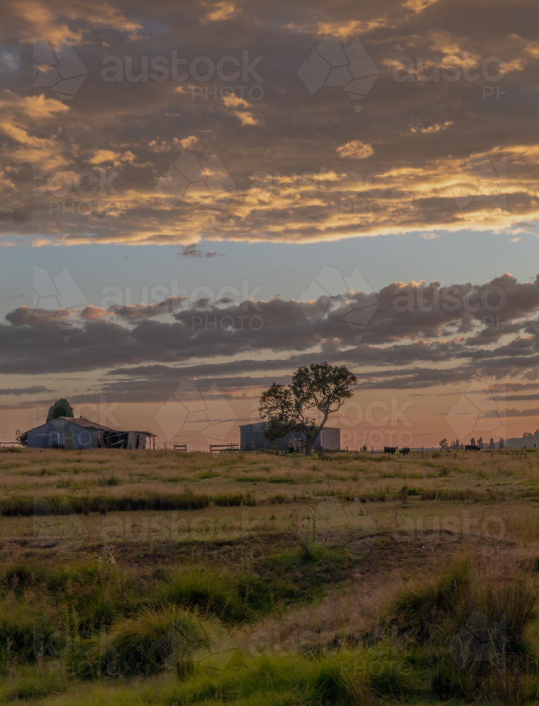 Silhouette of farmyard buildings under a sunrise sky - Australian Stock Image