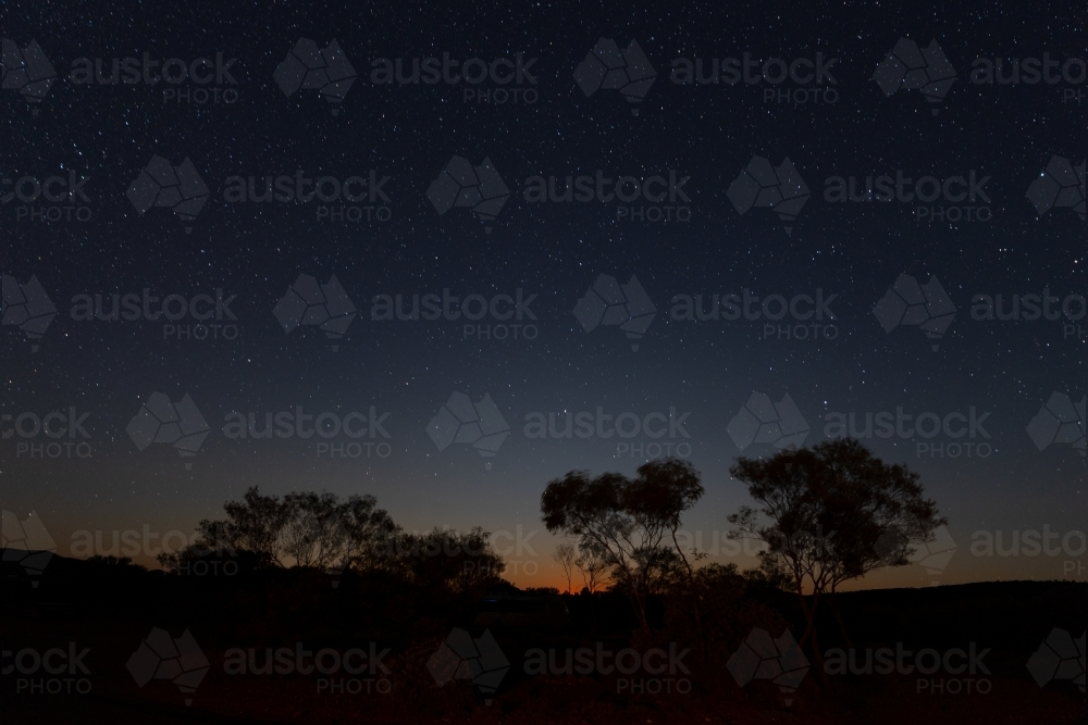 Silhouette of rural trees and bushes at night - Australian Stock Image