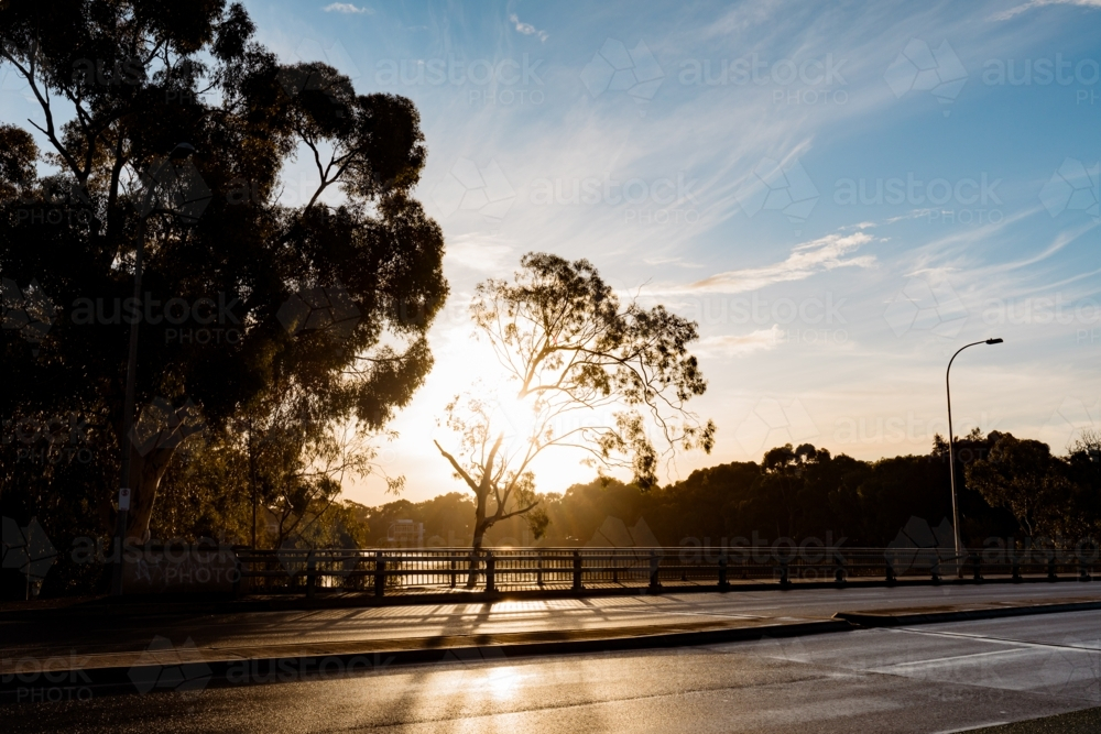 Silhouette of small gum tree beside bridge highlighted by golden afternoon light - Australian Stock Image