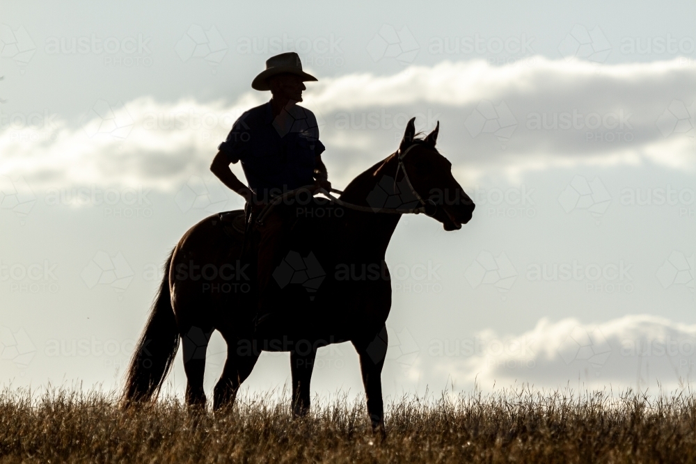 Silhouette of stockman and horse. - Australian Stock Image
