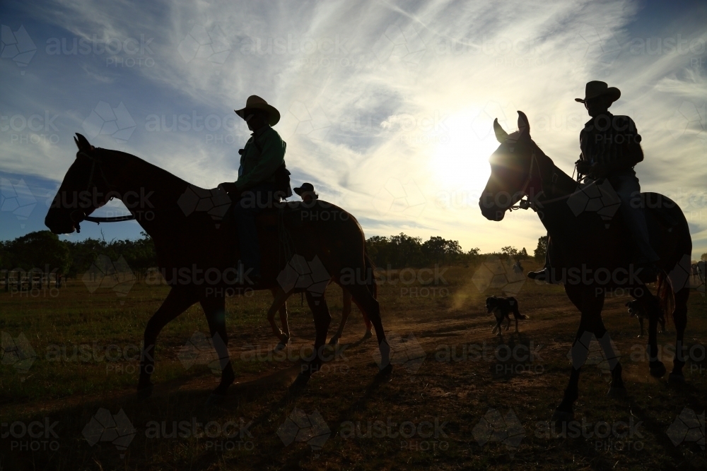 Silhouette of three stockmen on horses at the end of the day - Australian Stock Image
