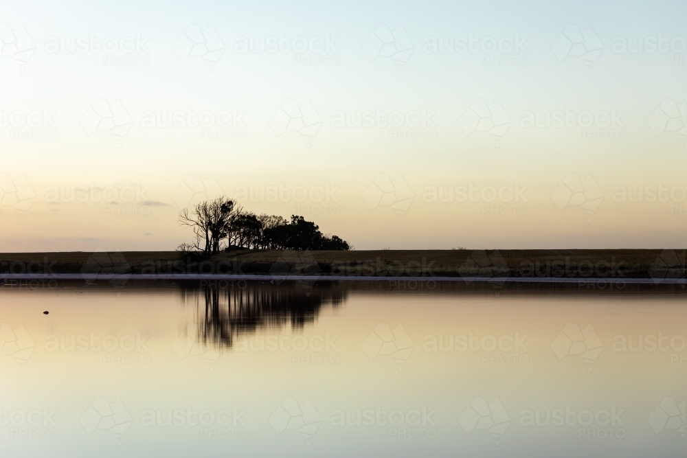 silhouette of trees at dusk with reflection in water - Australian Stock Image