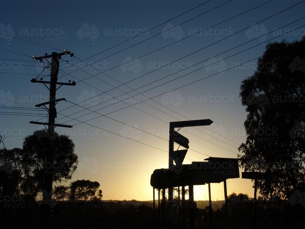 Silhouette of trees, street signs and electricity wires - Australian Stock Image