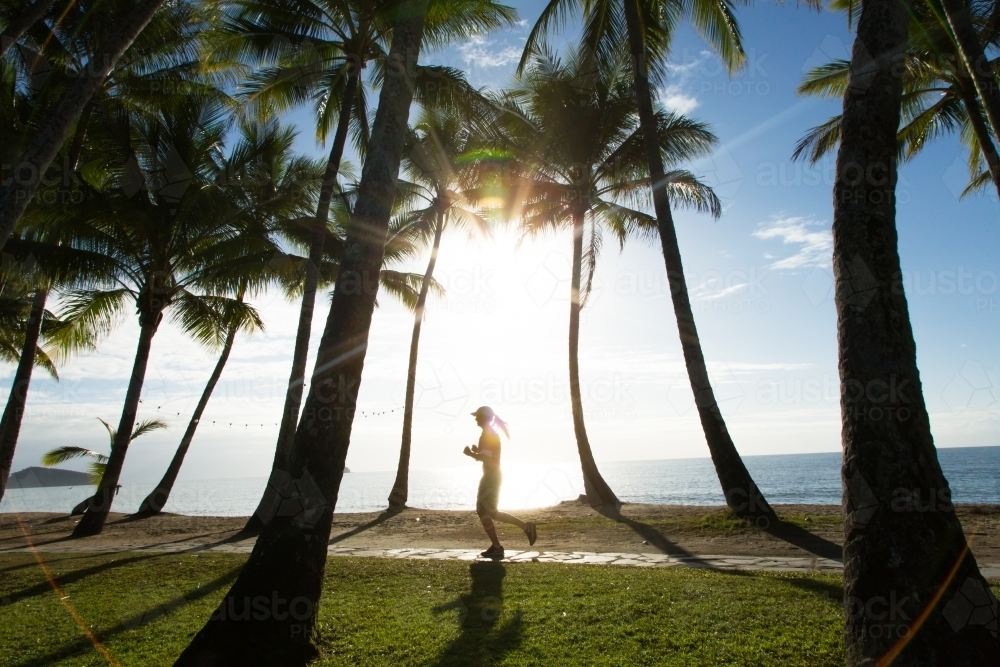 silhouette of woman running and palm trees, waterfront at Palm Cove - Australian Stock Image