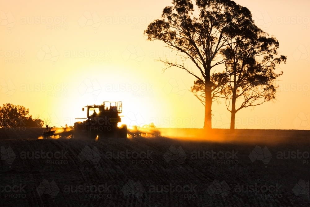 silhouette shot of a tractor and a tree during sunset - Australian Stock Image