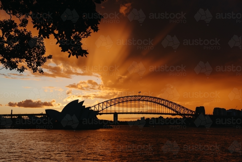 silhouette shot of Sydney bridge with the sea during sunrise - Australian Stock Image