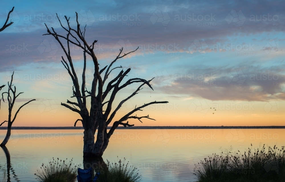 Silhouette trees on lake river at sunrise - Australian Stock Image