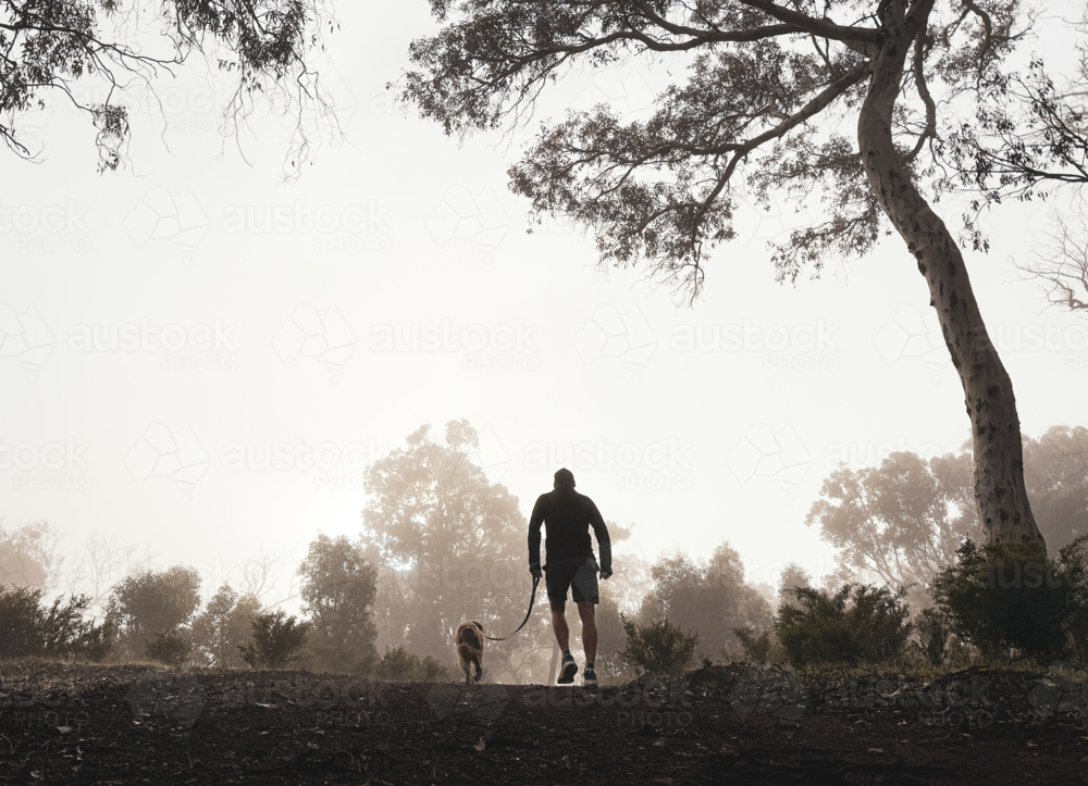 Silhouetted Man walking dog On lead through bushland in morning mist - Australian Stock Image