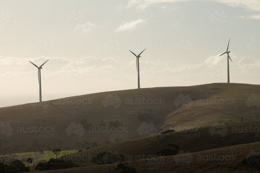 Silhouetted row of wind turbines on a hill in a paddock - Australian Stock Image