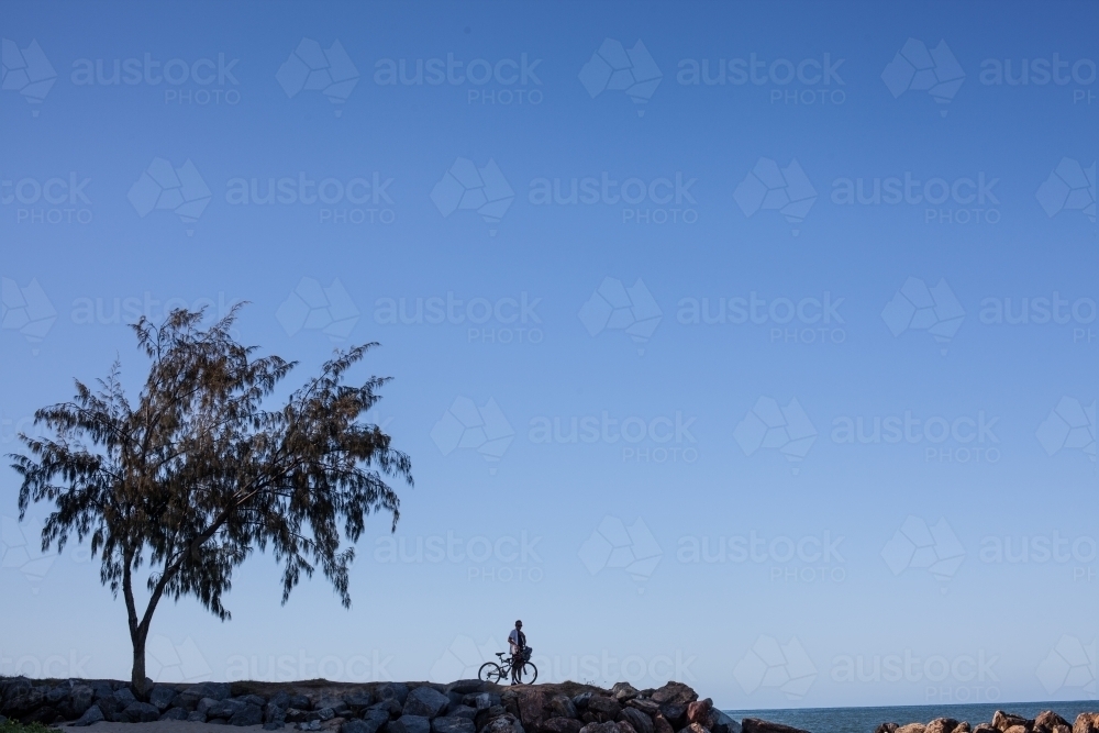 Silhouetted tree and person with bike by the coast - Australian Stock Image