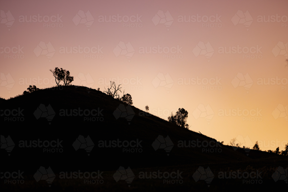 Silhouetted trees and hills under a purple sunset sky - Australian Stock Image