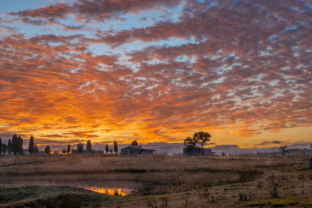 Silhouettes of a building and trees under an orange dawn sky - Australian Stock Image